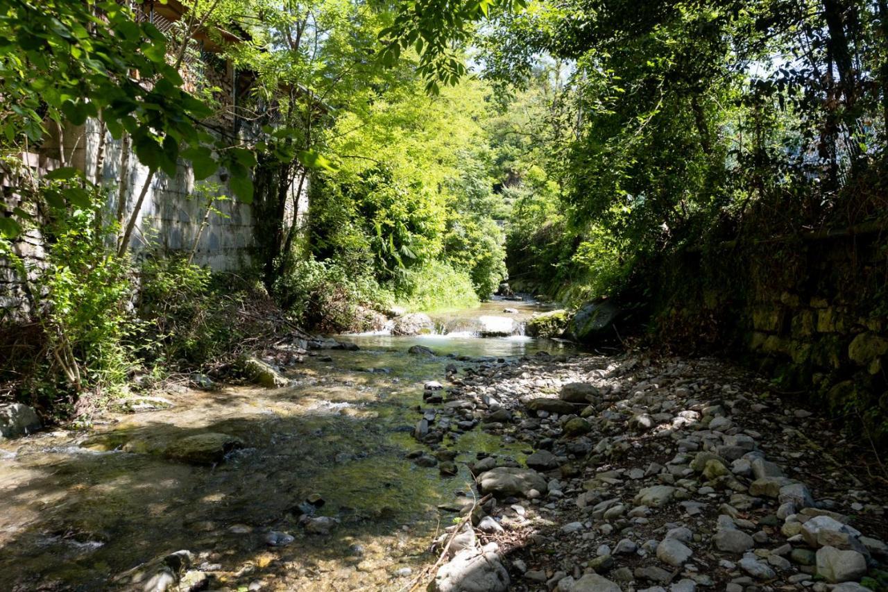 La Casa Sotto Le Cascate Lago Maggiore - Ixihome Cittiglio Eksteriør bilde